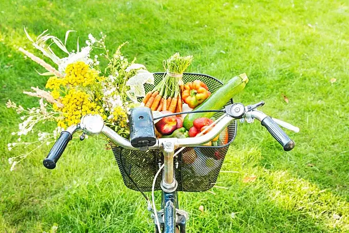Ciclismo y veganismo: ¿la pareja perfecta para salvar el planeta?