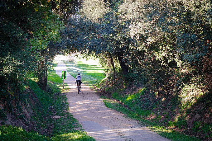 Las Ecovies de Girona rompen récords en 2025