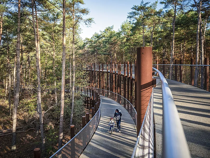 El Parque Nacional de Bosland es un enclave ineludible para los amantes de la naturaleza y la vida al aire libre. Foto: Jonathan Ramael.