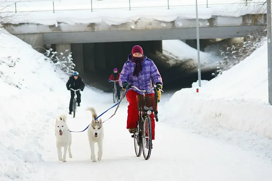 Oulu, un milagro del ciclismo urbano (foto: Eltis.org)