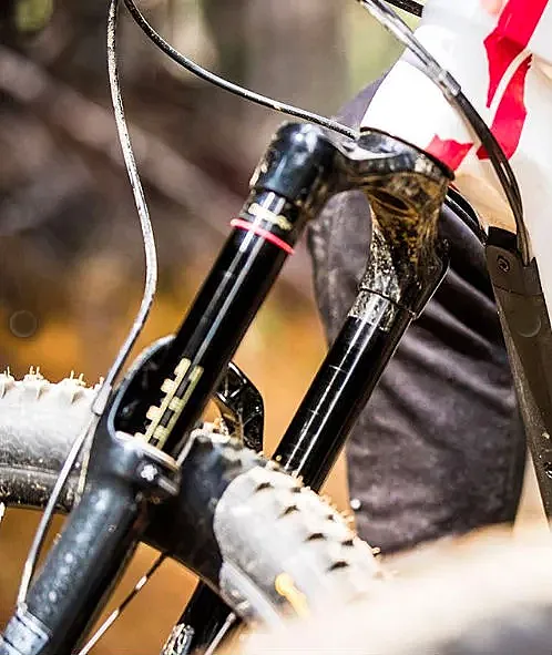 Canyon Torque de 2020.
